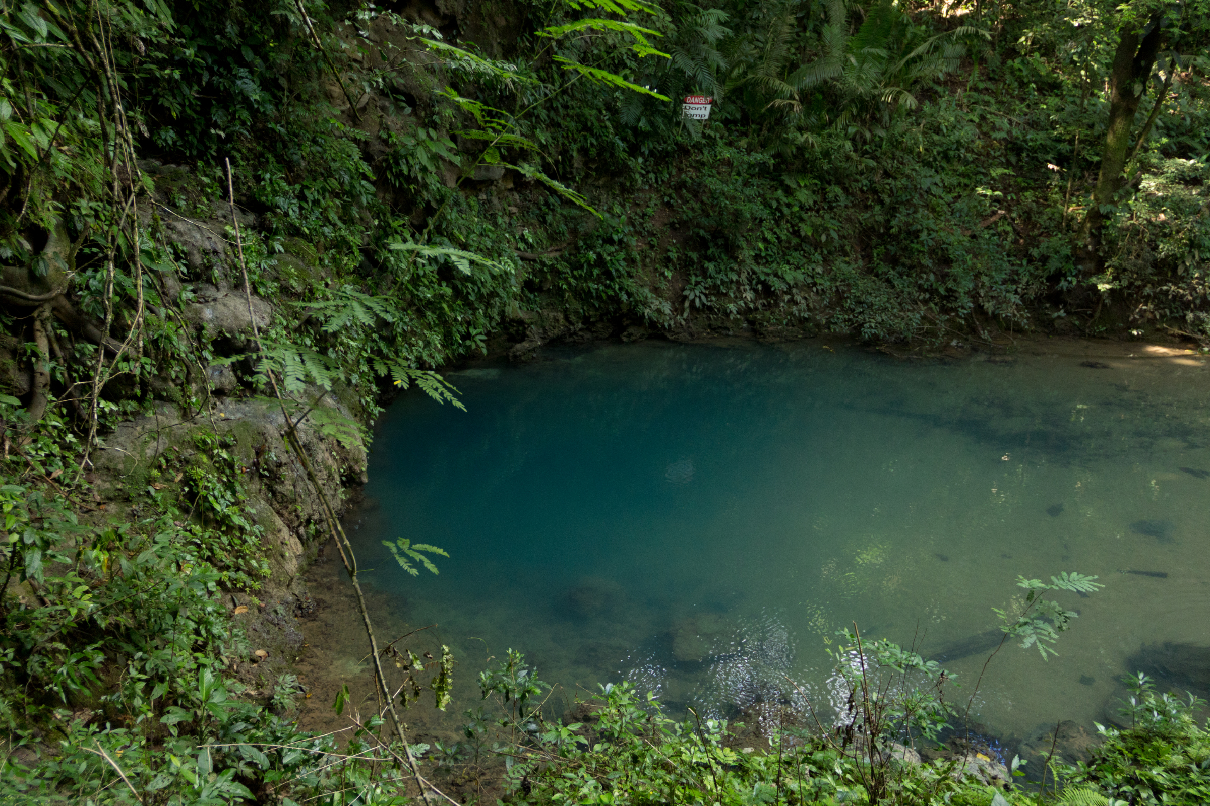 St._Herman's_Blue_Hole_National_Park[1].webp